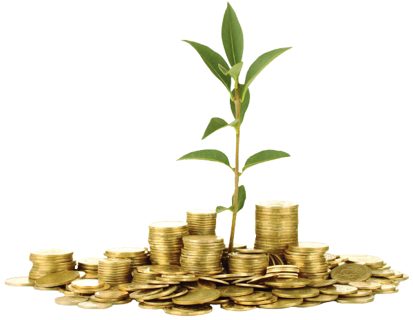 Financiamento